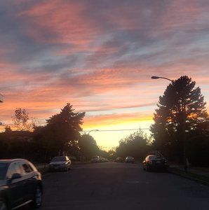 Meet your Posher, Ken